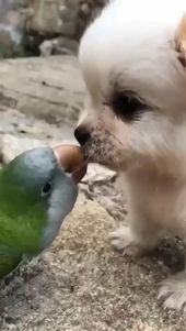 True Love Friends