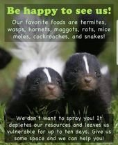 11 Useful Wildlife Facts That Can Help You Protect Them If The Moment Presents Itself
