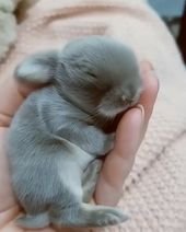 Cute
