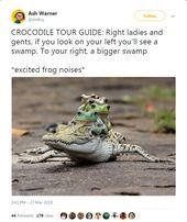 17 Animal Tweets That Made Us Laugh Last Week