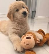 25 Facts About Animals That’ll Make You Smile Even If You’re Having A Bad Day