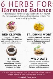 6 Herbs That Balance Hormones (That You’re Probably Not Using)
