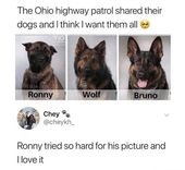 Rollin’ In The Mud Doggo Memes (22 Dog Memes)