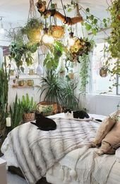 The Plants That Will Actually Thrive in Your Bedroom, According to Plantfluencers