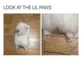 17 Wholesome Memes To Start The Week Off Right