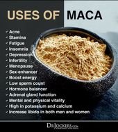 5 Hormone Balancing Benefits of Maca – DrJockers.com