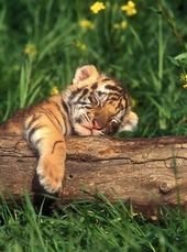 Have You Ever Been This Tired?