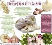 Health Benefits of Garlic