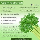 Celery Health Facts