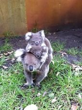 These guys, sticking together.
