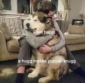 28 Wholesome Memes & Pics For A Change Of Pace