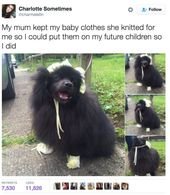32 Of The Most Wholesome Things That Have Ever Happened