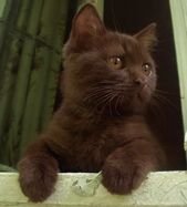 Cuteness Overload! – 6th August 2021