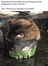 48 Cool Randoms to Kick Boredom to the Curb