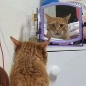 This Facebook Page Is All About Animal Images That Need To Be Seen (50 Pics)