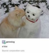 Dance Away To Another Caturday (46 Cat Memes)