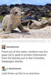 15 Wholesome Memes To Start The Week Off Right