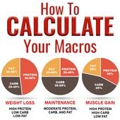 Macro Calculator | Find Your Macro Ratio Today