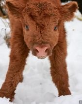 Tiny Adorable Baby