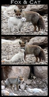 and the best friends are the ones who love you just as you are…