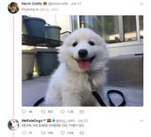 #WeRateDogs Asked for Dog Selfies and the Results Are HILARIOUS