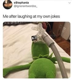 14 Pictures You’ll Get If You Always Laugh At The Worst Possible Time