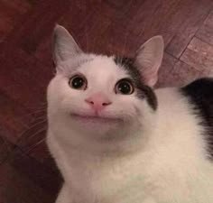 18 Cursed Images That’ll Change You Forever