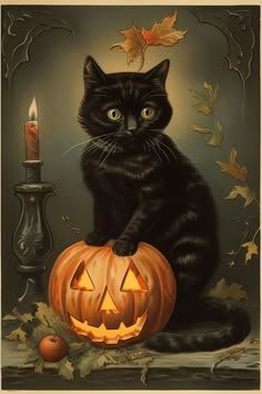 20 Halloween Cat Clipart (Black Cats)!