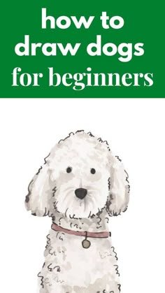50+ Tutorials: How To Draw A Dog Easy | Artist Hue